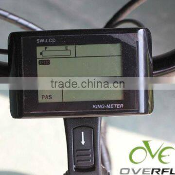 LED display for fashion e-bike with CE