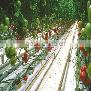 Tomato drip irrigation equipment