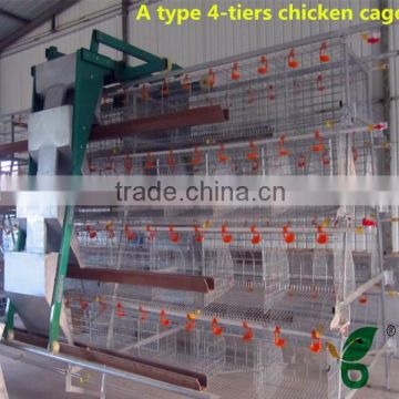 automatic bird feeder system in chicken houses