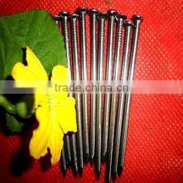 african market many customer 2.5" common nails