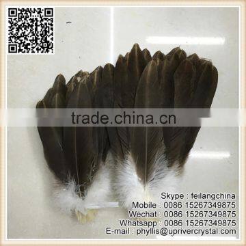 Indian Hat Decoration Brown And White Big Eagle Feather