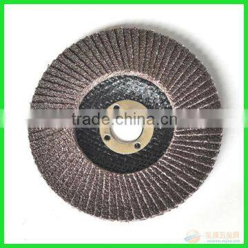 Polishing Flap Disc