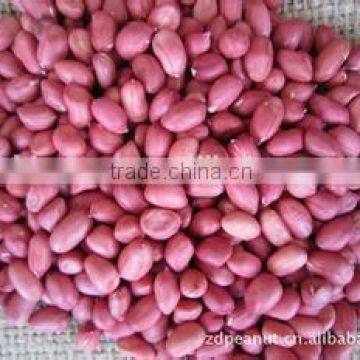 Red Skin Peanut Kernels With Good Quality for Sale photo-4