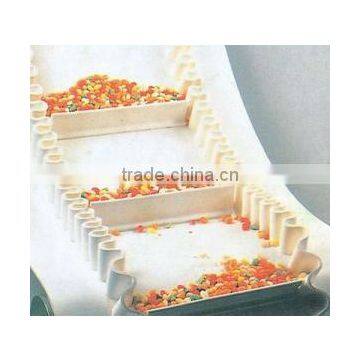 Raised edge conveyor belt