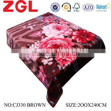 2015 NEW DESIGNS 1ply&2ply high quality hot printed raschel korean style blanket NO.CJ330