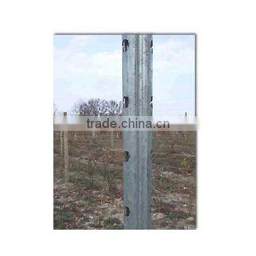 Metal farm post for vineyard from China supplier