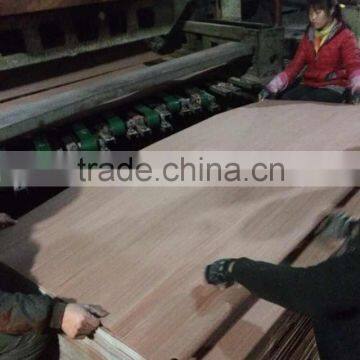 Recon Veneer / Natural Keruing Veneer / Gurjan Face Veneer photo-3