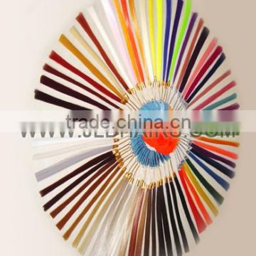 Human Hair Color Plate