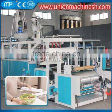 LLDPE 2 Layer Automatic Extruder for Film Cast Machine for Food Cling Film Plastic Wrap