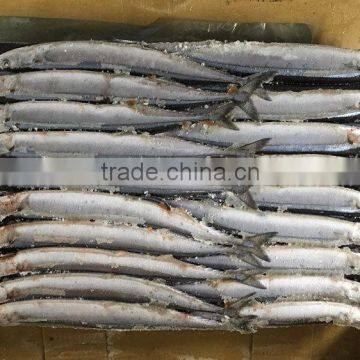 frozen pacific saury seafood light catching fishing bait