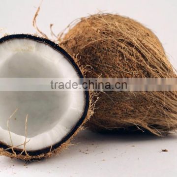 FRESH DE HUSKED COCONUT