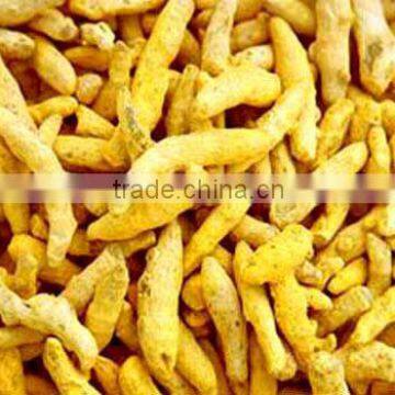 Indian Natural turmeric