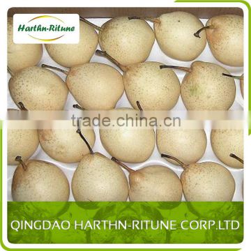 Wholesale China fresh Ya pears