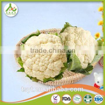With Best Quality For SaleChina New Crop Fresh White Cauliflower photo-4