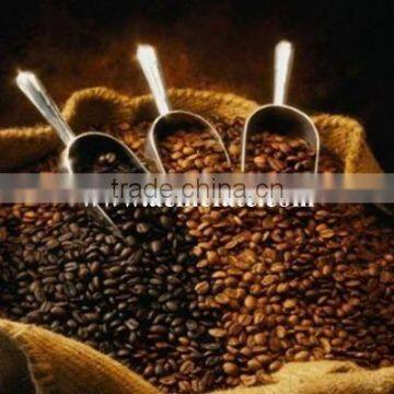 Natural and Bulk Packaging Raw Green Coffee Beans Popular Products photo-2