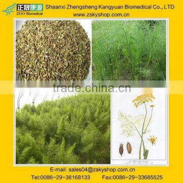 Natural Sweet Fennel Extract from GMP Manufacturer