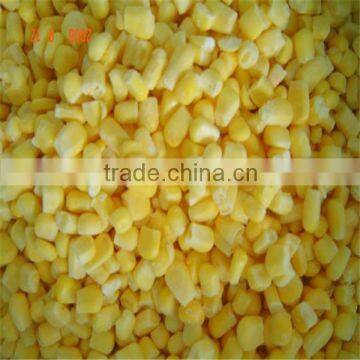 IQF frozen sweet corn