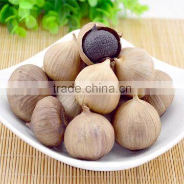 Odorless Solo Single Bulb Black Garlic Manufacturer