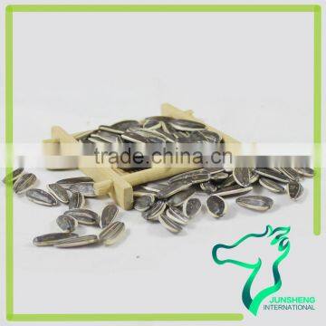 Common Cultivation Sunflower Seed 363 100% Natural photo-6