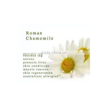 CHAMOMILE ROMAN OIL