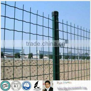 Anping Holland Wire Mesh Fence /Dutch Wire Mesh