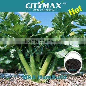 High Concentrate Humic Acid For Sale