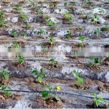 Best Price Agriculture Irrigation Drip Tape From China