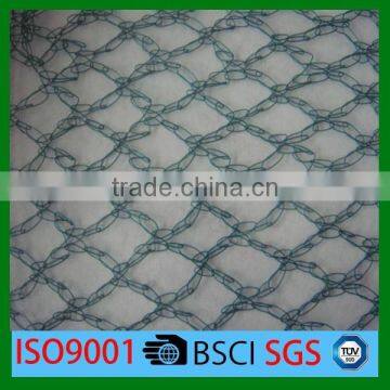 HDPE high quality Anti-bird net protect the fruit