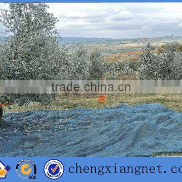 chengxiang olive net for harvesting