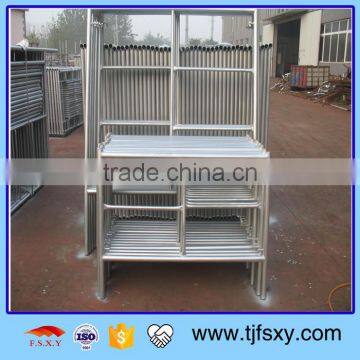 Galvanized Steel Ladder Scaffolding For Sale