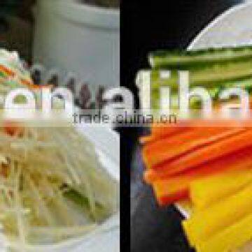 Good Material China Factory Sales Vegetable Cutter photo-4