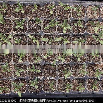 Wholesale Cheap Good Quality ps Cells Seedling Trays photo-3