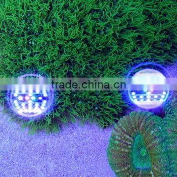 Hot Selling Programmable Full Spectrum Sunrise and Sunset Coral Reef Used Led Aquarium Light photo-3