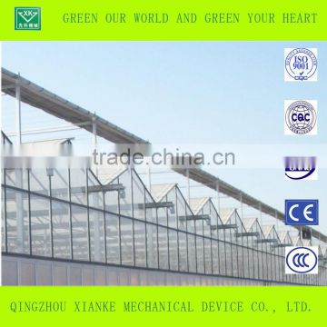 Agriculture Galvanized Steel Structure Greenhouse for Planting