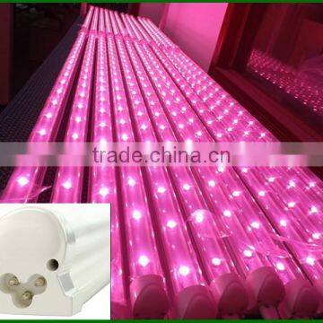 Best Led Grow Lights on the Market 20w t8 Led Grow Tube photo-5