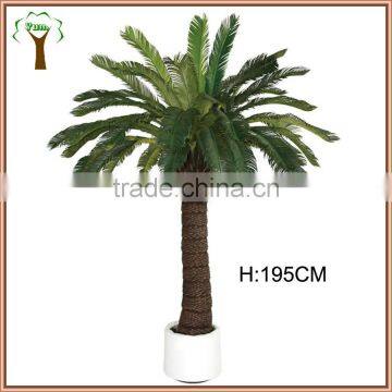 plastic cycad revoluta tree for landscape decoration