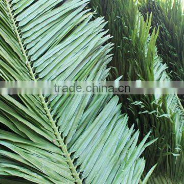 SJZZY Outdoor Decorative Plastic Artificial Palm Tree Leaves photo-2