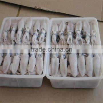 500g BQF Baby Squid