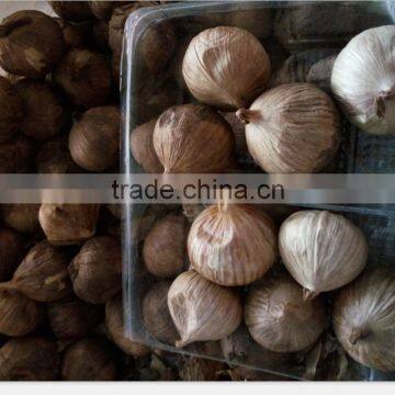 China hot black single clove garlic