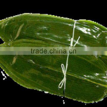 Natural Bamboo Leaves high quality bamboo leaves good Bamboo Leaves No pollution Fresh