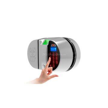 Zks-Gw1 Fashionable appearance and touch password single tempered glass door lock