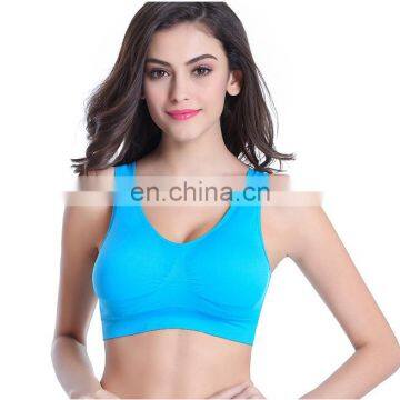 Wholesale Hot Sexy Custom Adjustable Plus Size Ladies Sports Bra