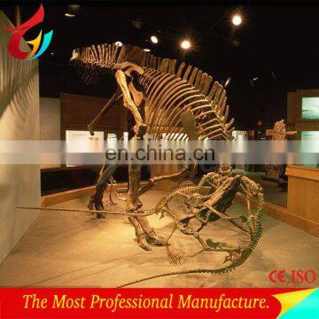 Exhibition equipment dinosaur skeleton replica