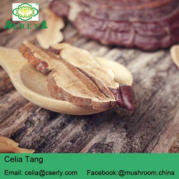 Sliced Reishi Mushroom photo-2