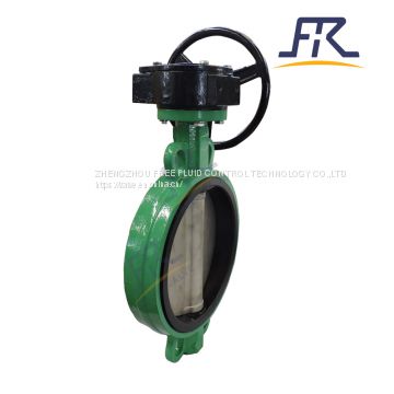 6 Butterfly Valve Butterfly Ball Valve Wafer Body Type