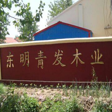 Dongming Qingfa Wood Industry Co.,Ltd company overview - view 1
