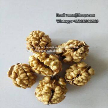 Various Sizes Walnut Kernels Supplier First Quality Walnut Kernel photo-3