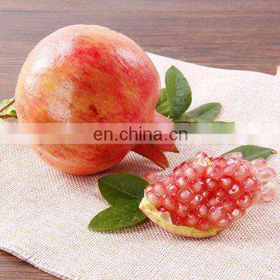 Passion Fruit Seed Separator Machine/ Commercial Pomegranate Seed Separating Machine photo-4