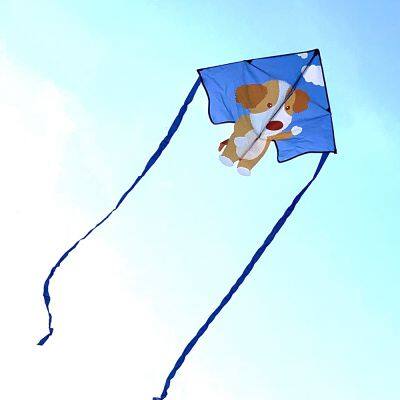 China New Design Hot Sales Delta Cartoon Polyester Easy Flying Kite for Kids and Adults From Weifang Kite Factory photo-5