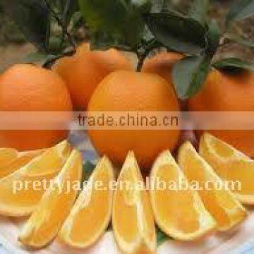 Low price Navel orange in china